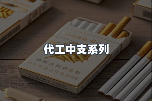 代工中支系列